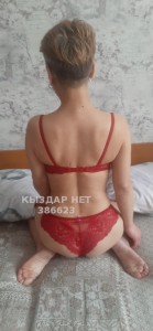 Проститутка Алматы Анкета №386623 Фотография №3056508